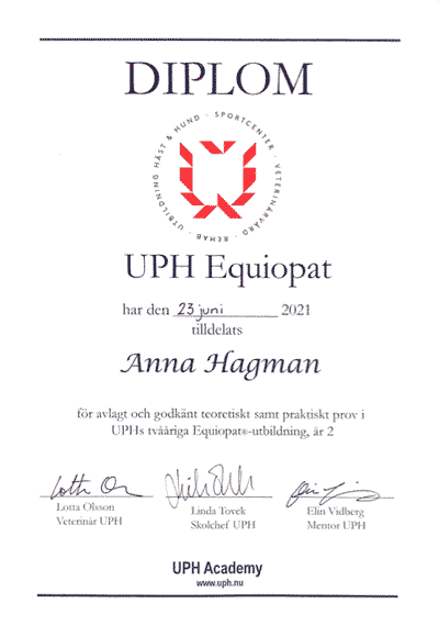 Diplom från utbildning för equiterapi för häst